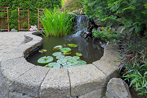 Small landscape pond with small waterfall
