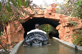 Lion exhibit at Fort Wayne zoo