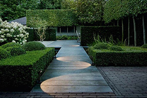 Well Lit Pathway